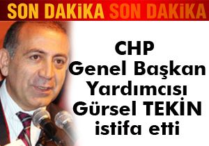 CHP Genel Başkan Yardımcısı Tekin istifa etti